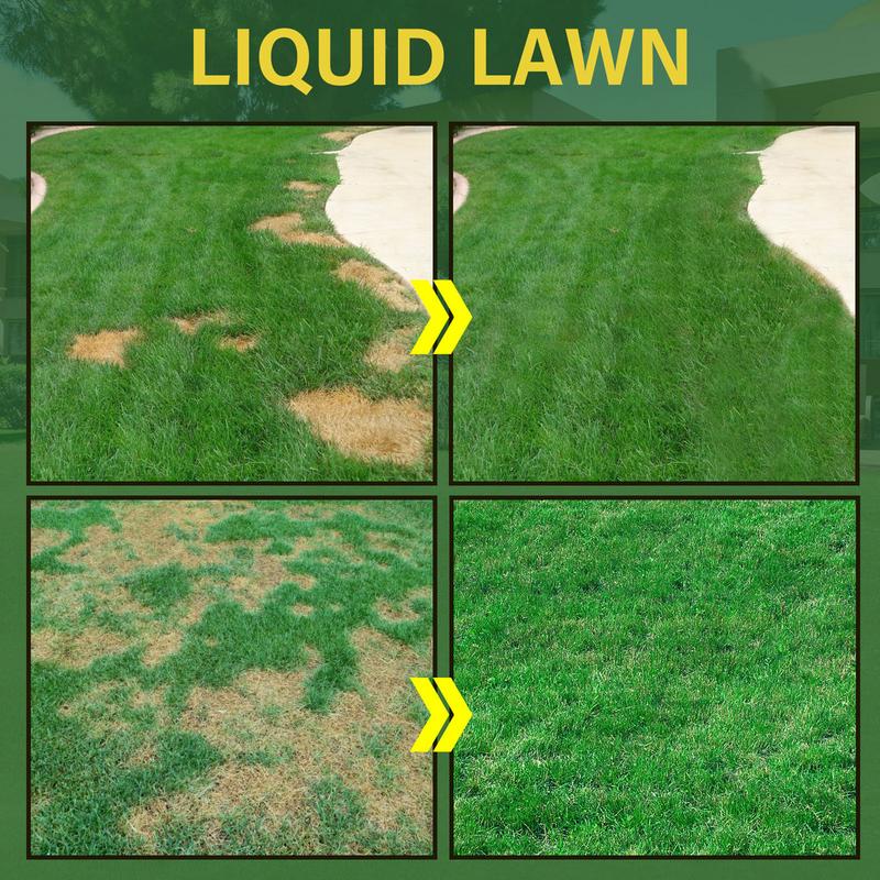 1+1 Gratis | LiquidLawn™️ Grün Rasen Sprühen