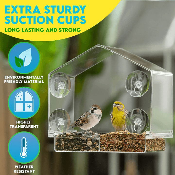 50% Rabatt | BirdFeeder™ Fenster-Vogelfutterhaus